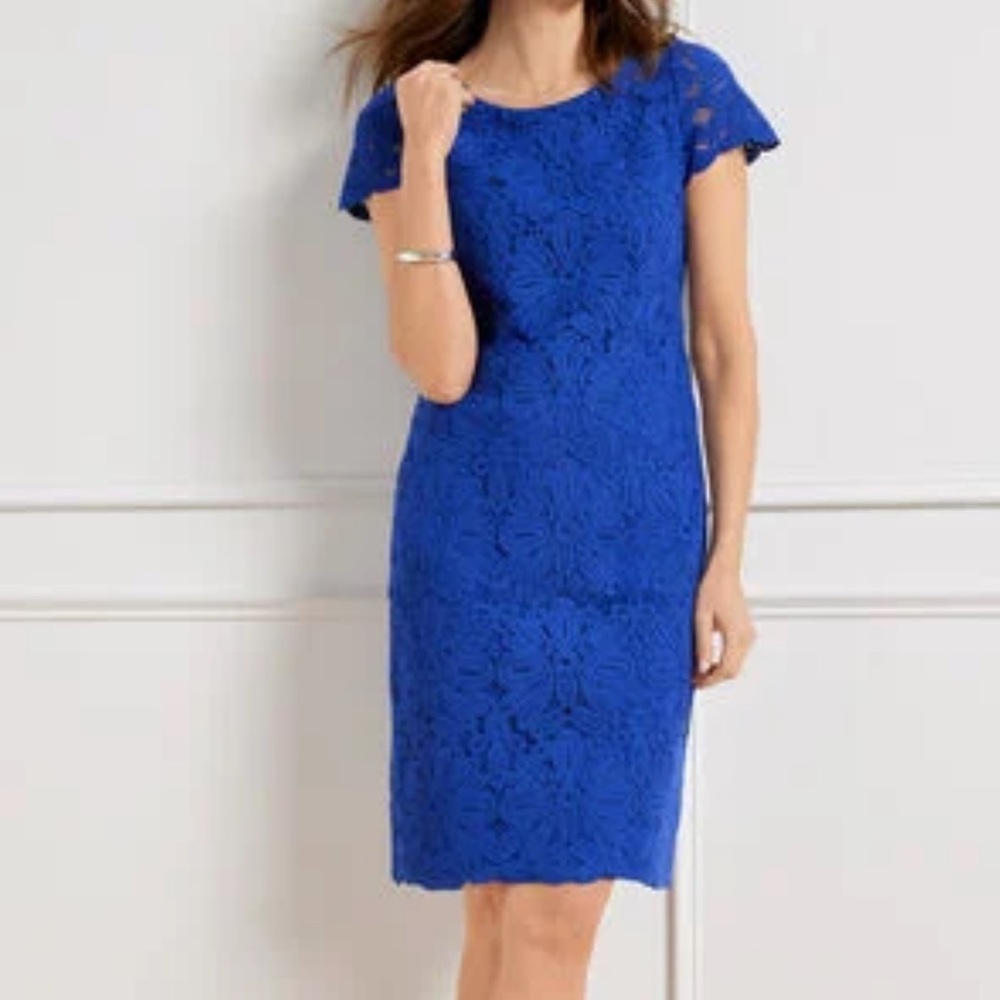 Talbots Royal Blue Lace Mini Dress